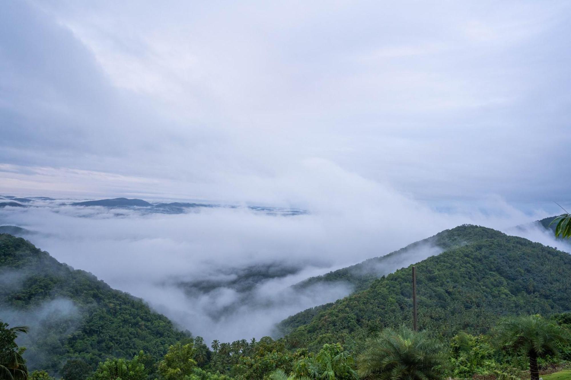 Mount Stratus Resort Vayalada Balussery 外观 照片