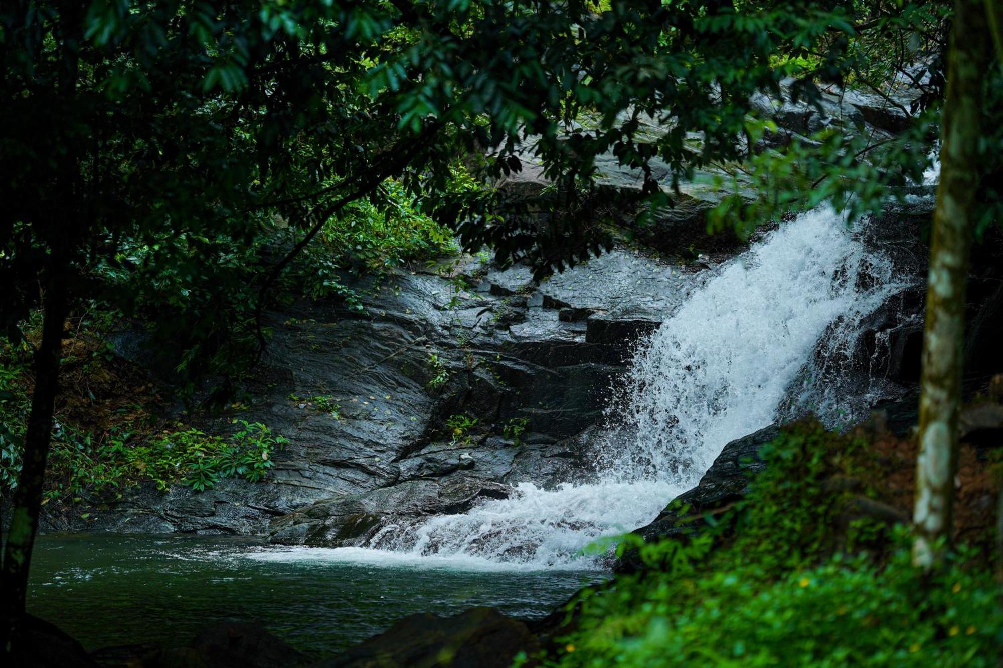 Mount Stratus Resort Vayalada Balussery 外观 照片